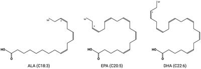 Biotechnological production of omega-3 fatty acids: current status and future perspectives